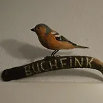 Hébergement de vacances Chaffinch In The Tanneneck House